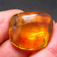 Insects in Amber Piece From Baltic Sea - 4.37 Grams - 1.1"