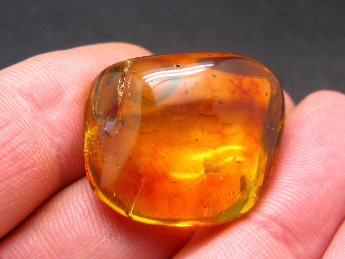 Insects in Amber Piece From Baltic Sea - 4.37 Grams - 1.1"