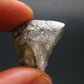 Gem Phenakite Phenacite Crystal From Russia - 7.53 Grams - 0.9"