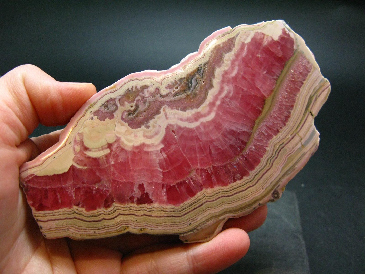 Rhodochrosite Large Slab From Argentina - 4.8"