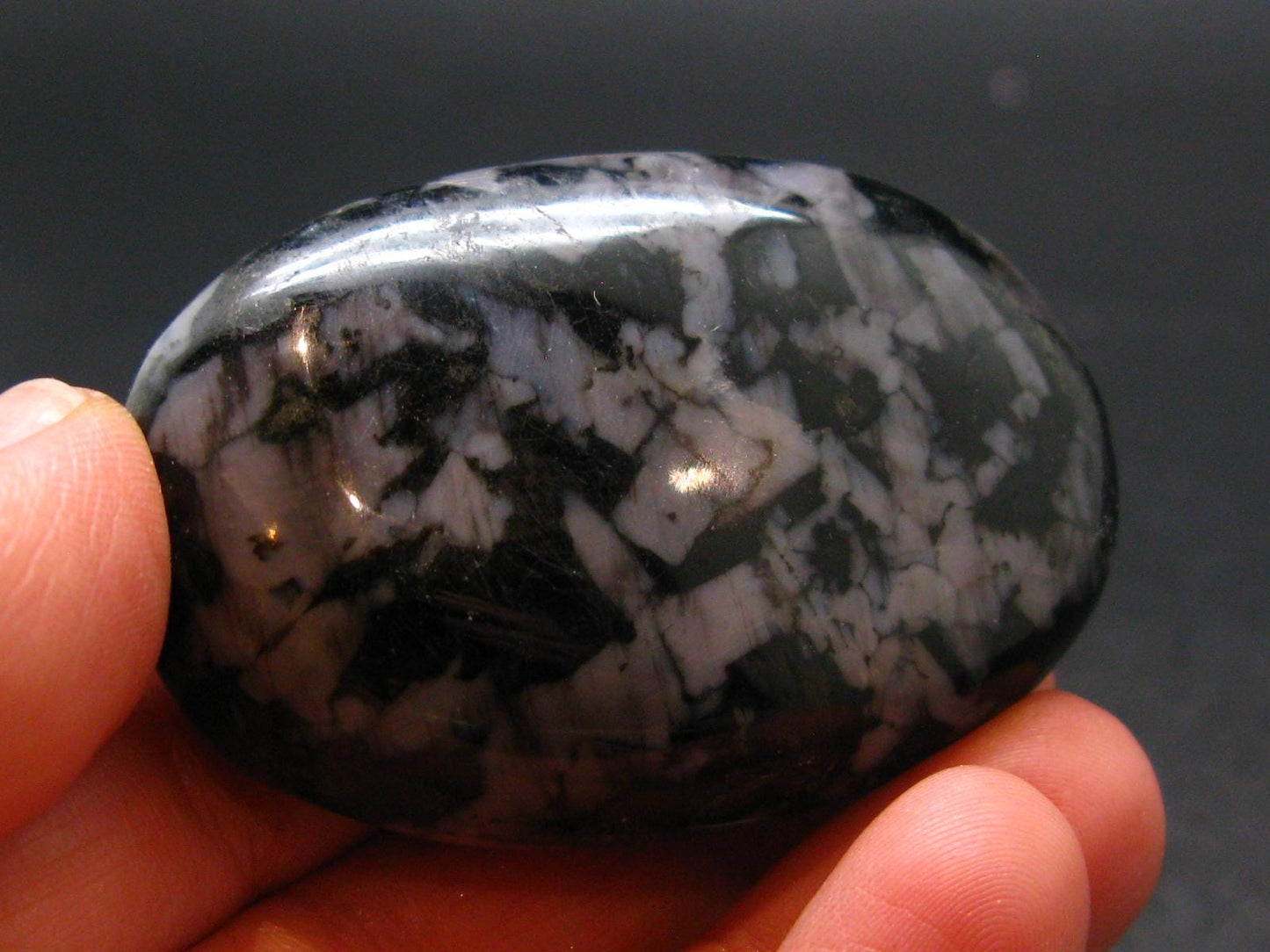 Gabbro Mystic Merlinite Tumbled Piece From Indian Ocean - 2.0"