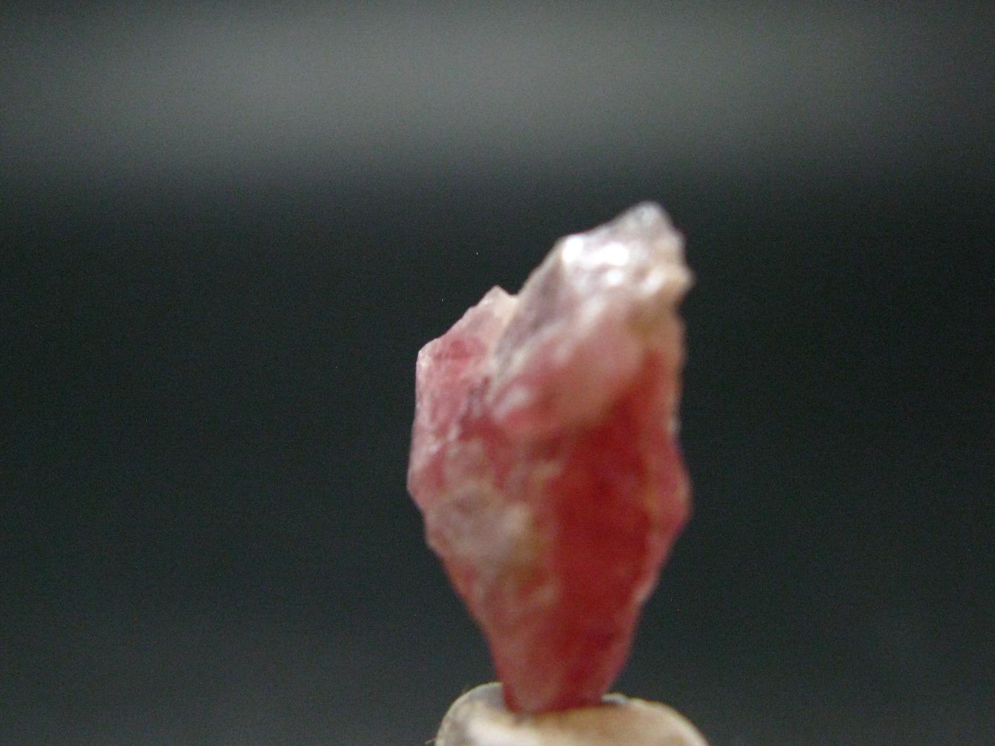 Rare Pezzottaite Crystal from Madagascar - 4.0 Carats - 0.7"