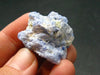 Fine Rare Carletonite Crystal From Mt. St. Hilaire Canada - 1.1" - 10.20 Grams