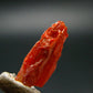Large Orange Crocoite Crystal From Australia - 0.7" - 5.40 Carats