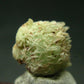 Very Rare Phosphophyllite Crystal From Bolivia - 0.6" - 1.98 Grams
