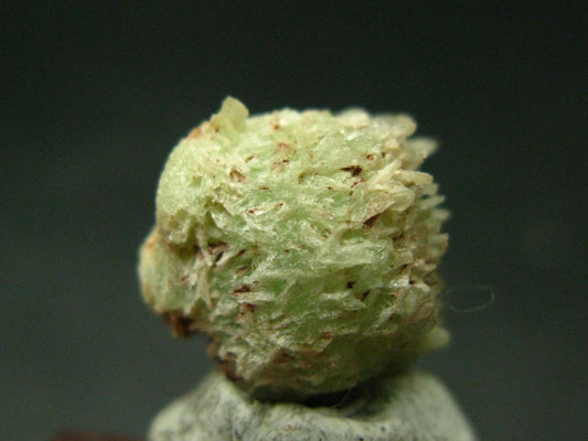 Very Rare Phosphophyllite Crystal From Bolivia - 0.6" - 1.98 Grams