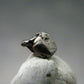 Rare Platinum Crystal From Russia - 5mm - 0.29 Grams