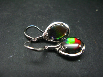 Ammolite Amolite Sterling Silver Earrings From Canada - 1.2"