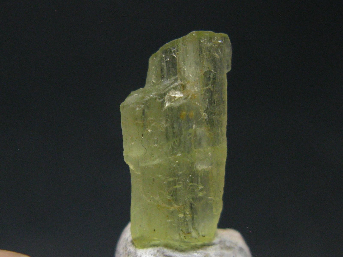 Pargasite Gem Crystal from Burma - 2.95 Carats