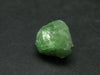 Gem Tsavorite Tsavolite Garnet Crystal From Tanzania - 9.54 Carats - 0.5"