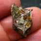 Large Sericho Meteorite Pallasite Olivine Slice From Kenya - 0.8" - 1.66 Grams