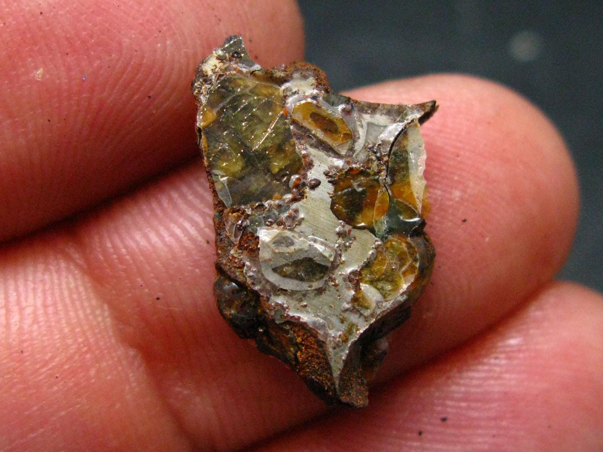 Large Sericho Meteorite Pallasite Olivine Slice From Kenya - 0.8" - 1.66 Grams
