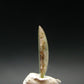 Rare Watermelon Tourmaline Crystal Slice From Brazil - 3.05 Carats