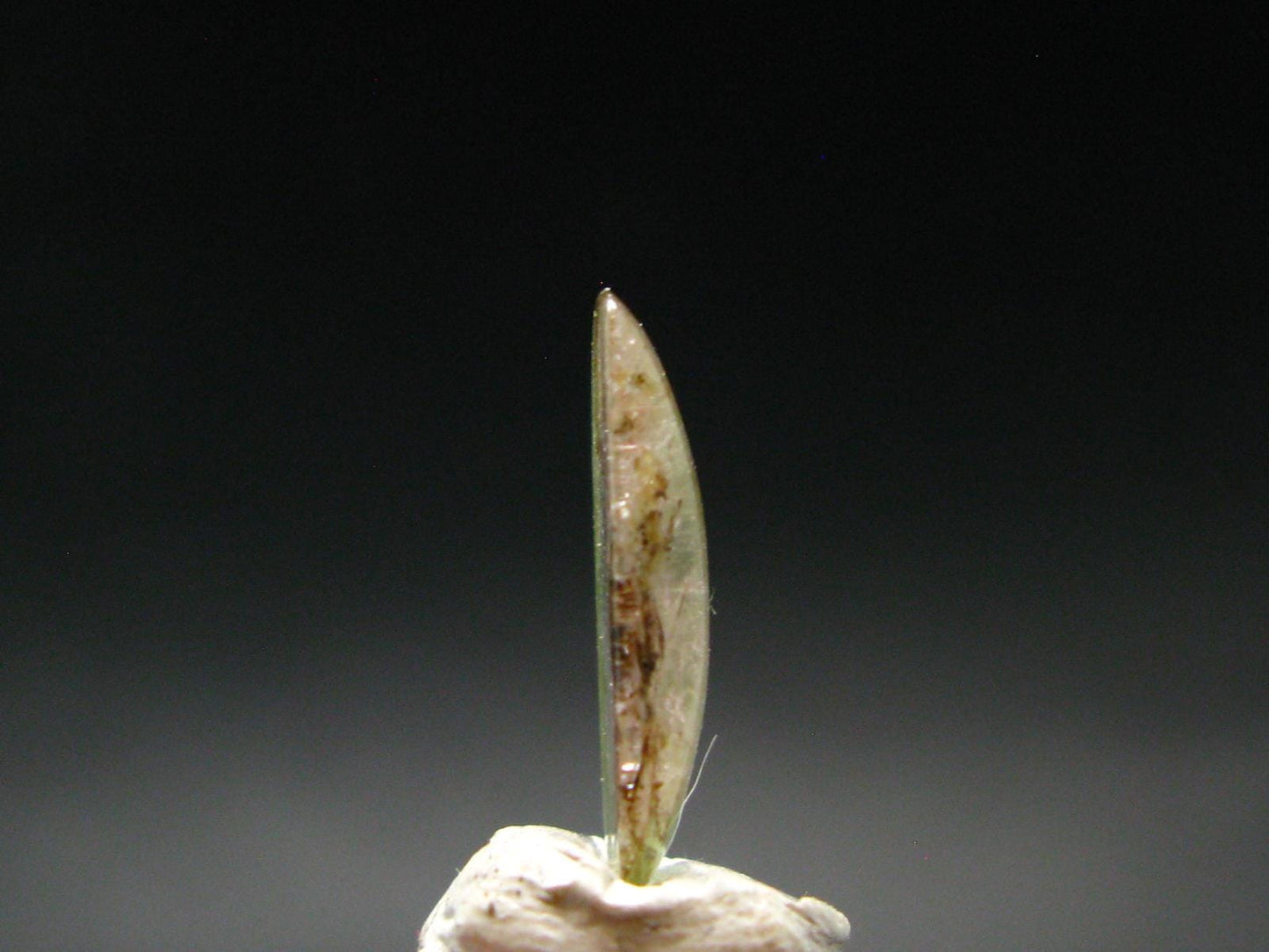Rare Watermelon Tourmaline Crystal Slice From Brazil - 3.05 Carats