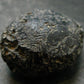 Rare Large Black Tibetan Tektite Raw Piece from Tibet - 1.6" - 33.31 Grams