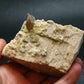 Rare Herderite on Feldspar Cluster from Brazil - 86.69 Grams - 2.6"