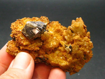 Cassiterite Crystal From Bolivia - 2.4" - 55.53 Grams