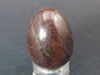 Genuine Ruby Corundum Egg from India - 20 Grams - 1.0"