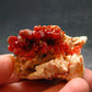 Large Vanadinite Cluster From Morocco - 1.6" - 63.36 Grams