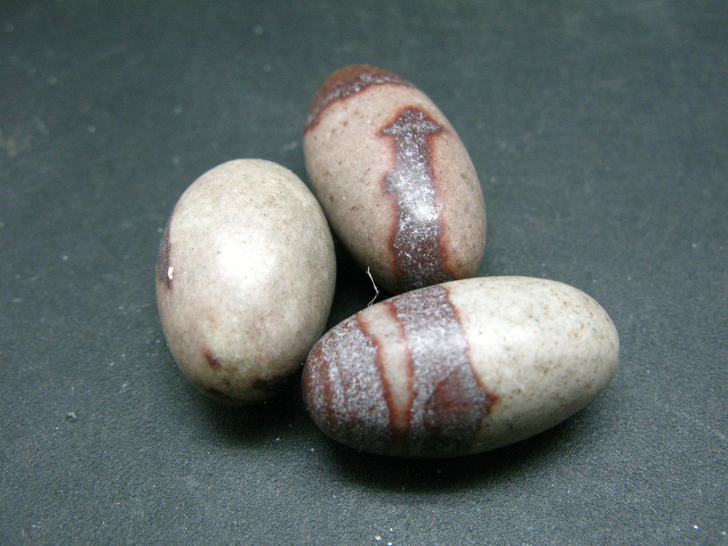 Lot of 3 Natural Elliptically Shaped Shiva Lingam Stones from India