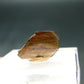 Large Brookite Crystal From Pakistan - 0.20 Grams - 13 mm
