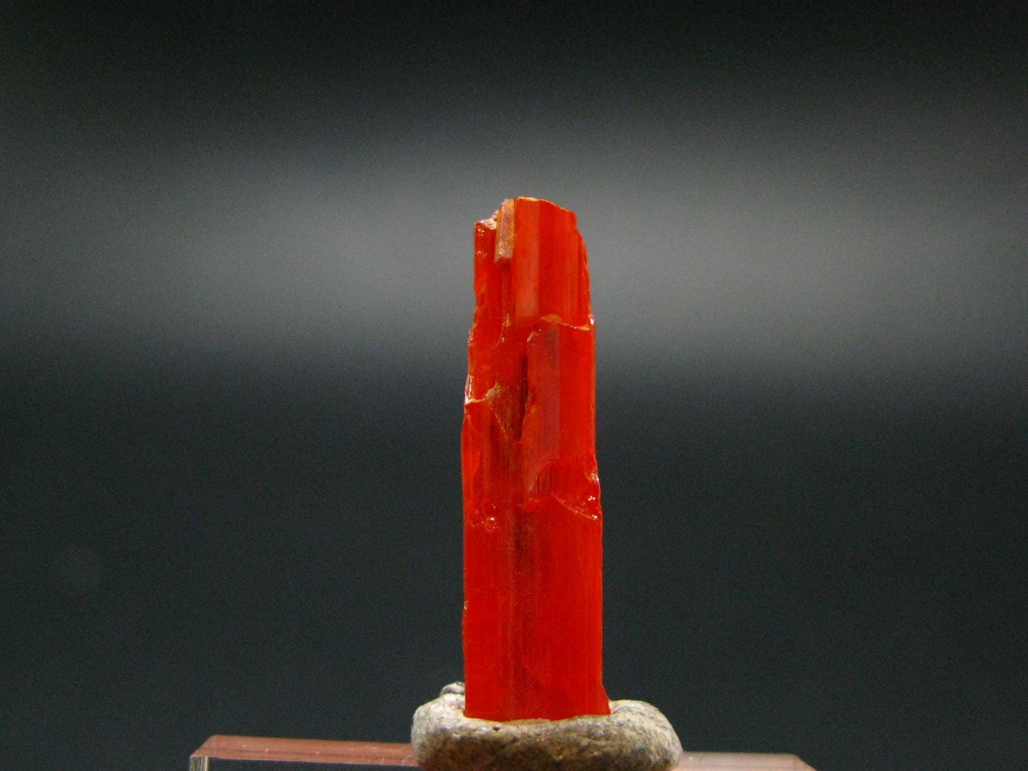 Large Orange Crocoite Crystal From Australia - 0.9" - 6.65 Carats