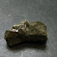 Millerite Cluster From Ontario, Canada - 1.1" - 8.44 Grams