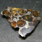 Large Sericho Meteorite Pallasite Olivine Slice From Kenya - 1.5" - 4.48 Grams