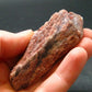 Cacoxenite Amethyst Crystal From Brazil - 2.6" - 41.21 Grams
