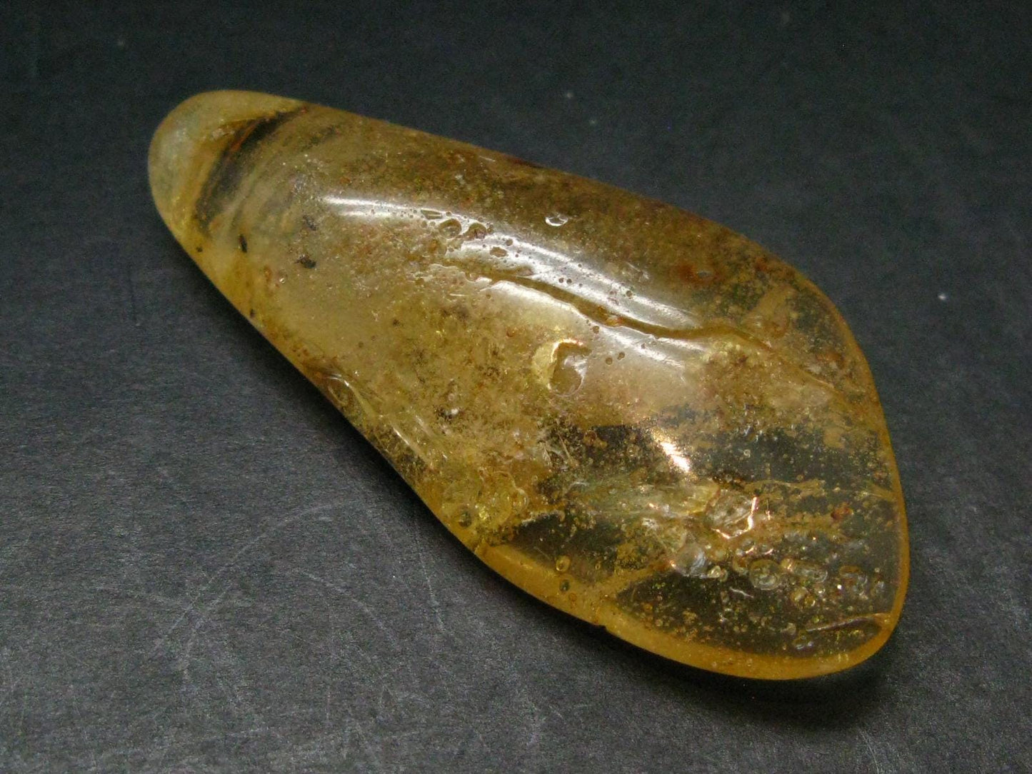 Insects in Amber Piece From Colombia - 6.67 Grams - 2.1"