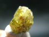 Chrysoberyl Crystal From Brazil - 9.90 Carats