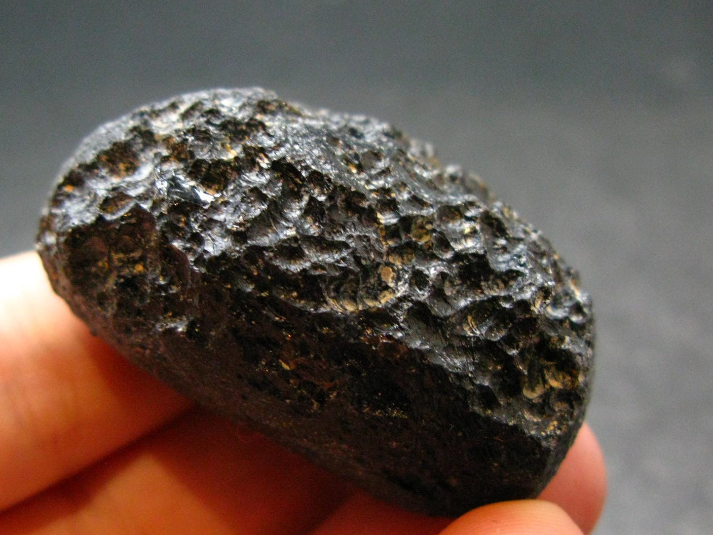 Rare Large Black Tibetan Tektite Raw Piece from Tibet - 1.6" - 30.50 Grams