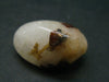 Rare Cryolite Tumbled Stone From Greenland - 0.9" - 7.65 Grams