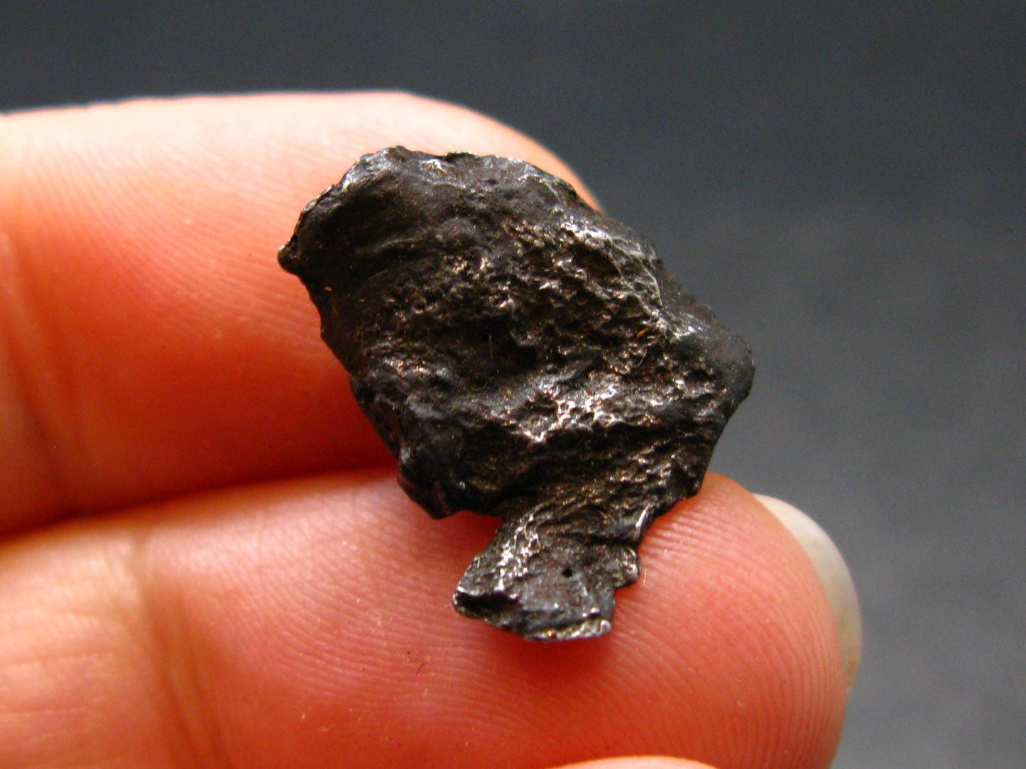 Sikhote Alin Meteorite From Russia - 2.40 Grams - 0.6"