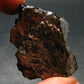 Elite Shungite Raw Piece from Russia - 2.0" - 24.22 Grams