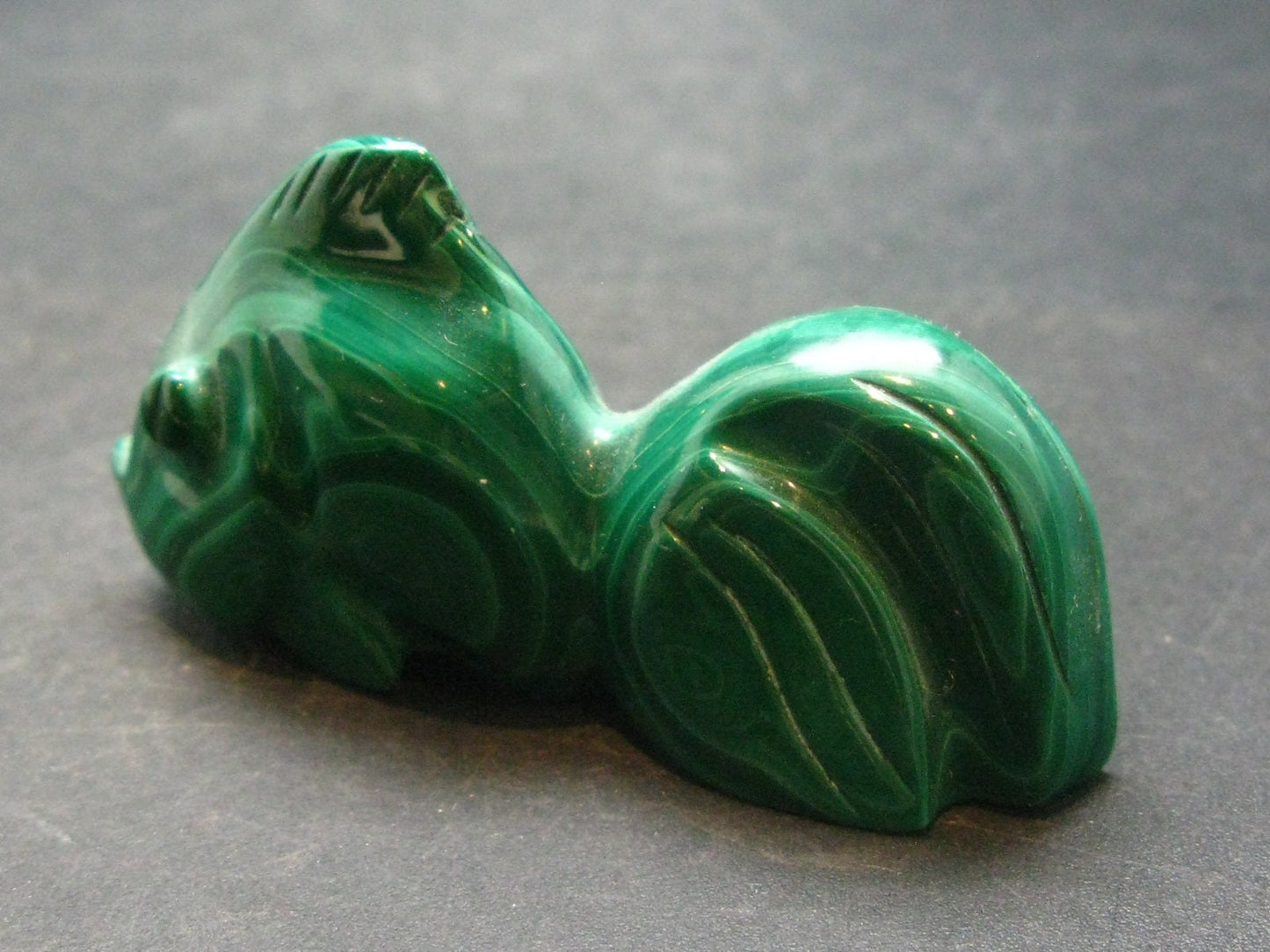 Rich Vivid Vibrant Green Malachite Fish From Congo - 2.6"