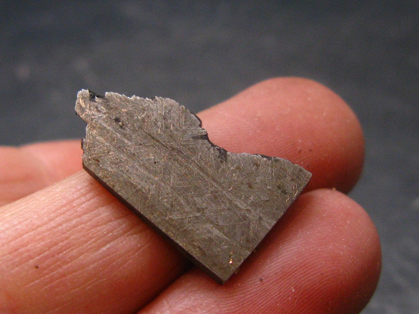Large Gibeon Meteorite From Namibia - 0.8" - 3.6 Grams