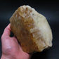 Enormous Gold Danburite from Madagascar - 9.3" - 2014 Grams