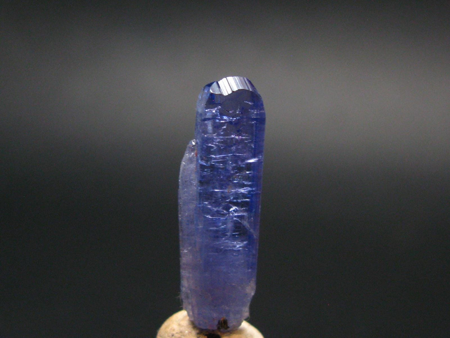 Fine Gem Tanzanite Zoisite Crystal From Tanzania - 6.85 Carats - 0.9"