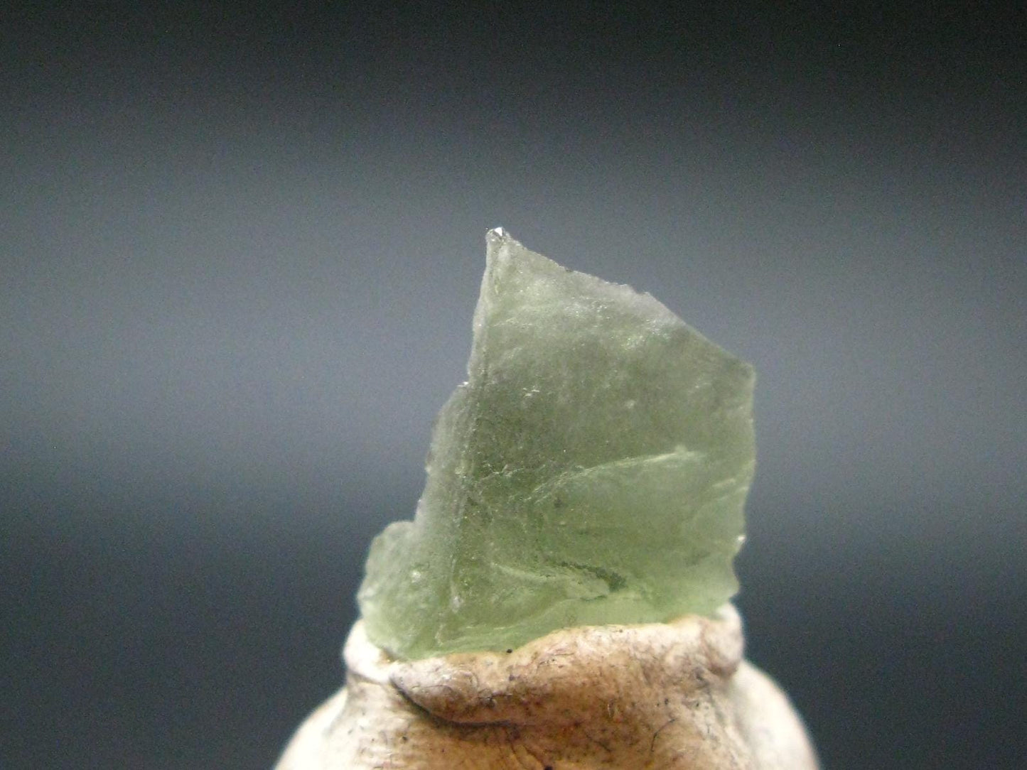Moldavite Tektite Raw Piece from Czech Republic - 0.5" - 3.0 Carats - 0.58 Grams