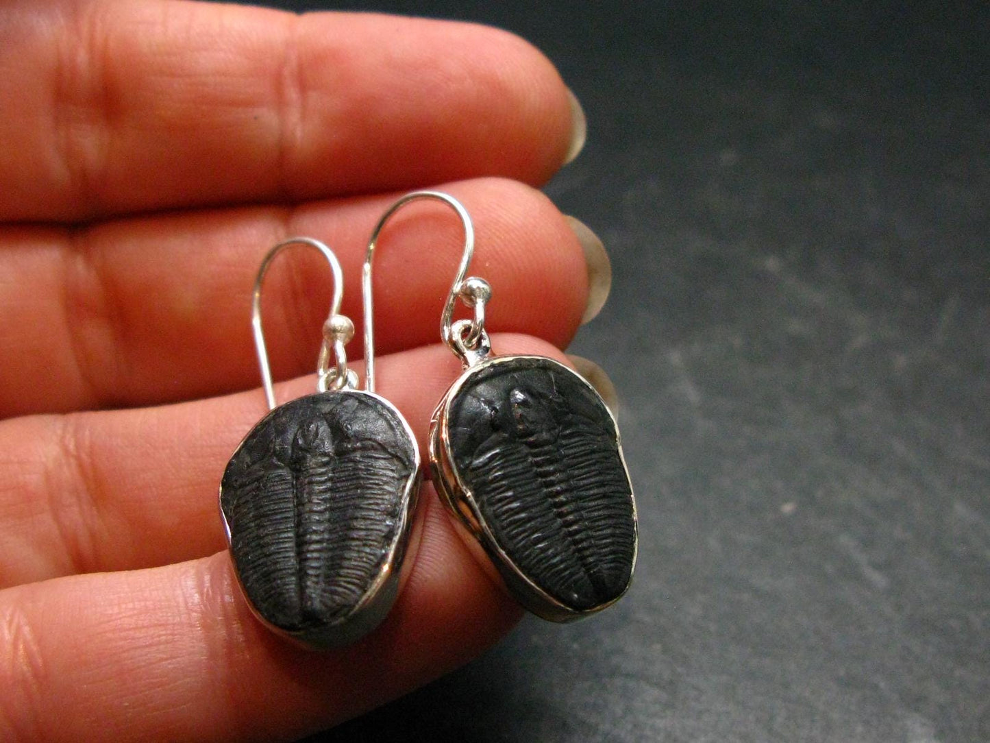 Trilobite Silver Earrings from USA - 1.3" - 4.08 Grams