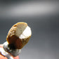 Rare Monazite Crystal From Brazil - 0.4" - 1.25 Grams