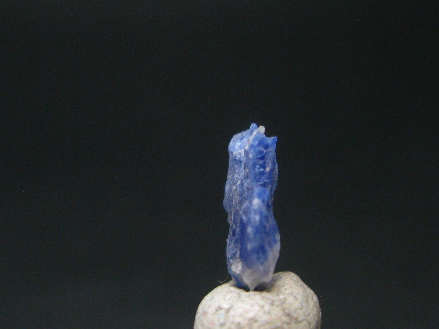 Fine Rare Carletonite Crystal From Mt. St. Hilaire Canada - 0.4" - 0.40 Grams