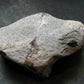 A Perfect Staurolite Crystal from Russia - 3.0" - 167.82 Grams