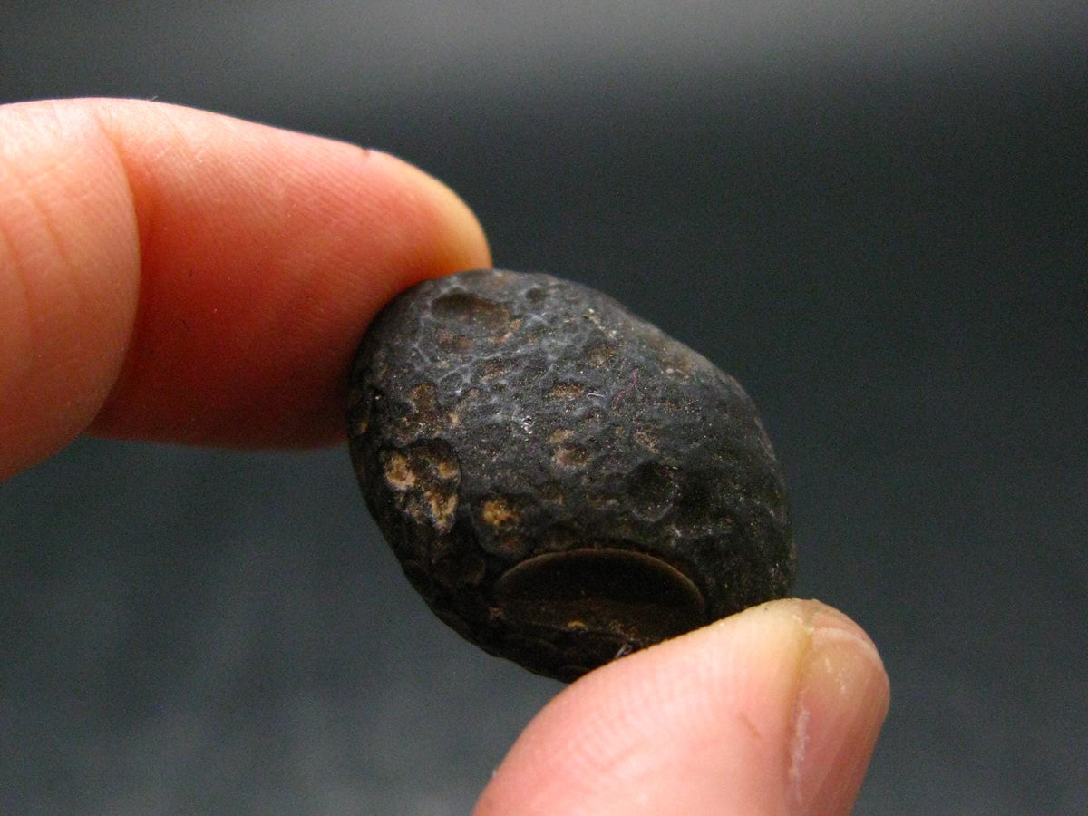 Rare Saffordite Cintamani Stone Pseudotektite Piece from Arizona USA - 34.05 Carats - 0.9"