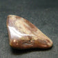 Rare Bustamite Tumbled Stone from South Africa - 1.4" - 14.46 Grams