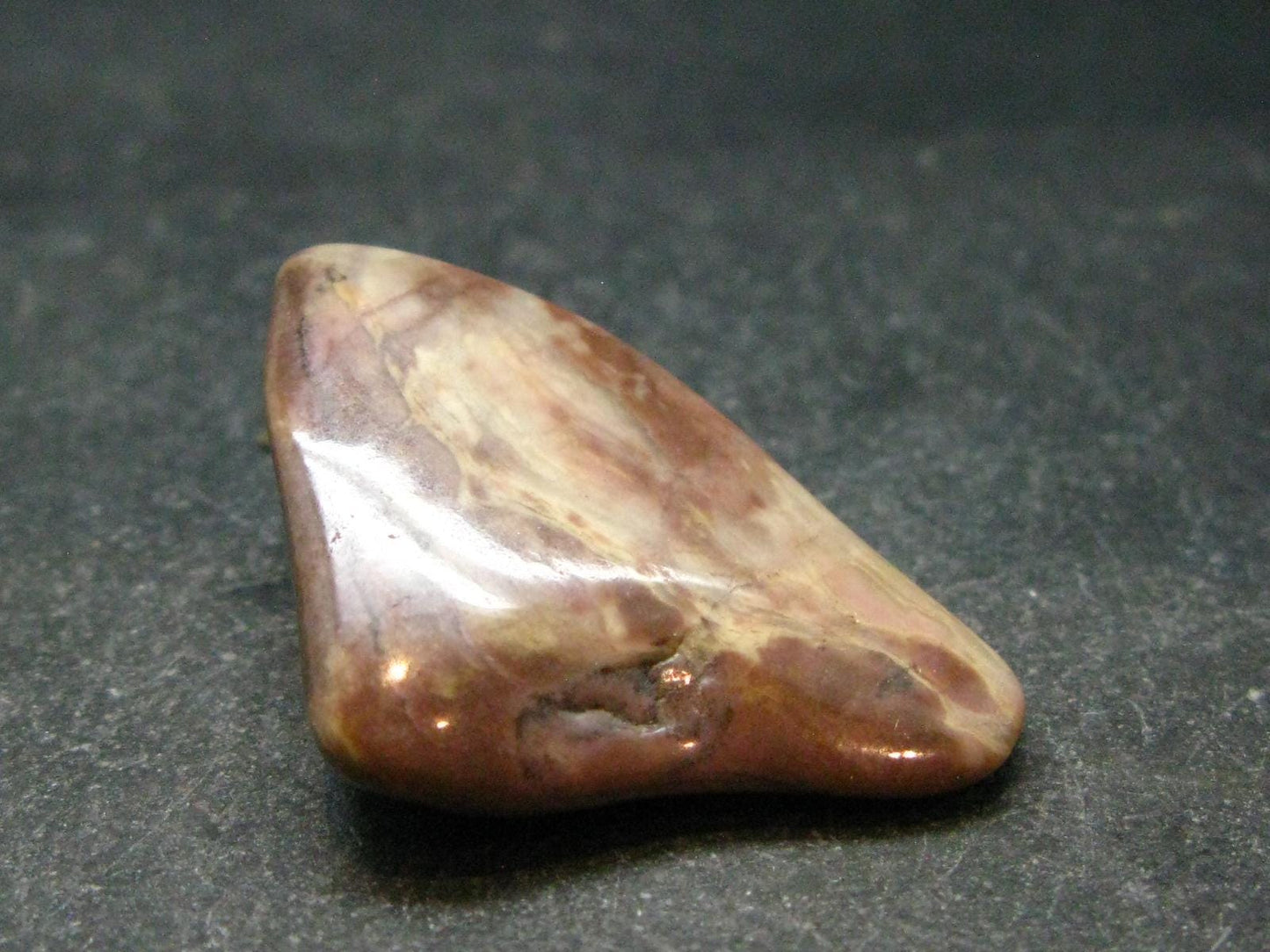 Rare Bustamite Tumbled Stone from South Africa - 1.4" - 14.46 Grams