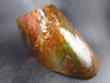 Ammolite Ammollite Fossil From Alberta Canada - 5.1" - 742 Grams