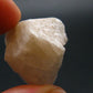 Phenakite Phenacite Raw Crystal From Brazil - 40.25 Carats - 0.9"