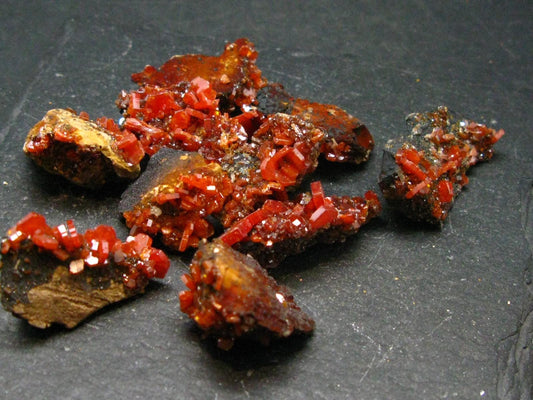 Lot of 10 Dark Red Vanadinite Cluster From Morocco - 37.80 Grams
